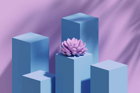 Studio shot of blue pedestals and single pink colored succulent plant - DRBF00294