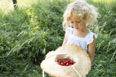 Blond girl holding hat with fresh red cherries - SVKF00304