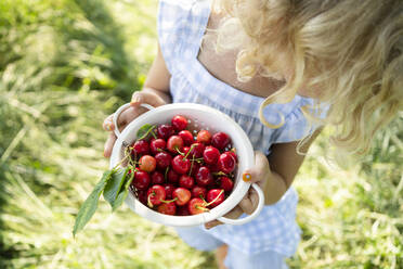 Girl holding colander of fresh red cherries - SVKF00306