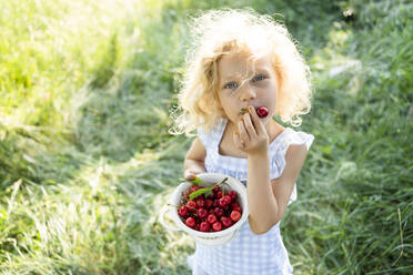 Blond girl holding colander eating cherry - SVKF00310