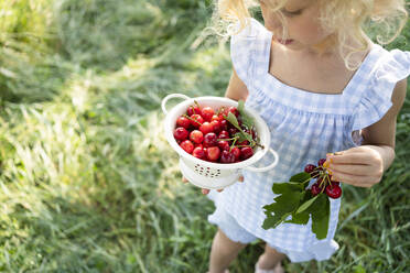 Girl looking at colander of fresh red cherries - SVKF00311