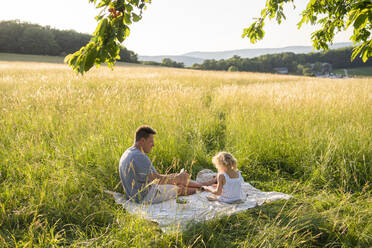 Father and daughter enjoying picnic at field - SVKF00316