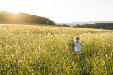 Mädchen läuft auf einem Feld an einem sonnigen Tag - SVKF00320
