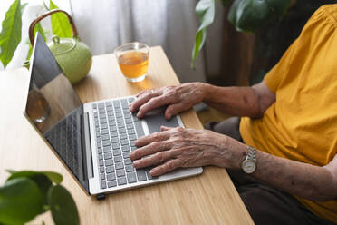 Woman using laptop at home - SVKF00350