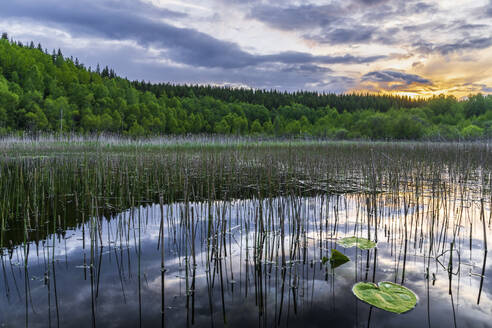 Schweden, Bezirk Vastra Gotaland, Blick auf den See Vastra Silen und den umliegenden Wald bei Sonnenuntergang - STSF03269