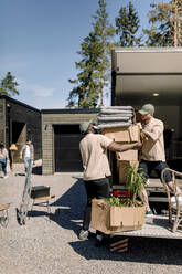 Delivery men picking cardboard boxes from truck during sunny day - MASF31416