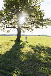 Frau steht unter einem Baum an einem sonnigen Tag - LLUF00709