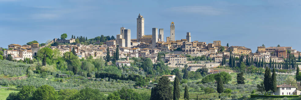 Italy, Tuscany, San Gimignano, Panoramic view of medieval town in summer - WGF01399