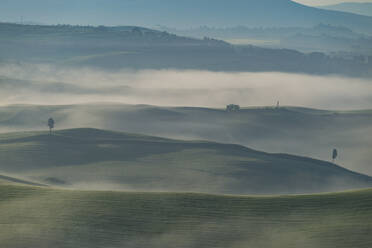 Italien, Toskana, Volterra, Hügellandschaft am nebligen Morgen - WGF01403