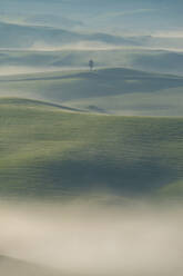 Italien, Toskana, Volterra, Hügellandschaft am nebligen Morgen - WGF01404