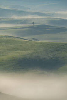 Italien, Toskana, Volterra, Hügellandschaft am nebligen Morgen - WGF01404