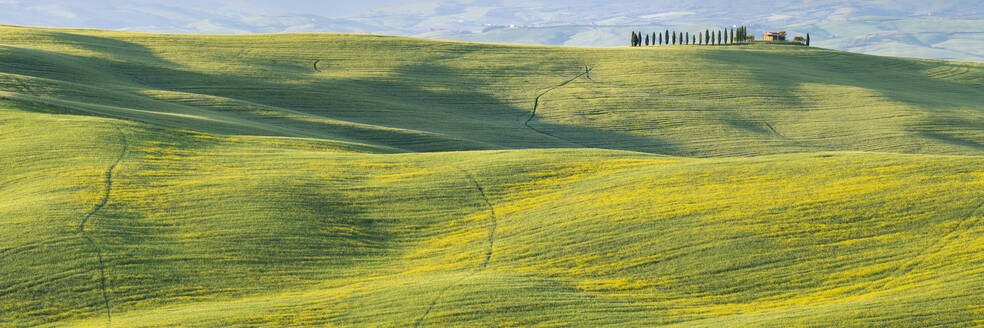 Italien, Toskana, Pienza, Panoramablick auf die grünen Hügel des Val D'Orcia im Frühling - WGF01408