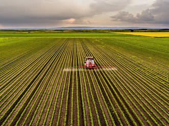 Traktor beim Sprühen von Pestiziden auf einem Sojabohnenfeld bei Sonnenuntergang - NOF00560