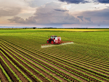 Tractor spraying pesticide on soybean field - NOF00561