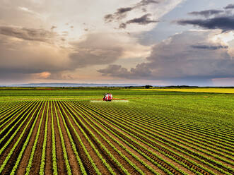 Traktor beim Sprühen von Pestiziden auf einem Sojabohnenfeld bei bewölktem Himmel - NOF00562