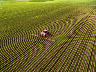 Traktor beim Sprühen von Pestiziden auf Sojakulturen bei Sonnenuntergang - NOF00567