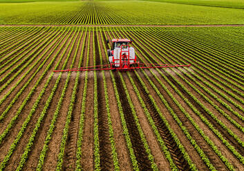 Traktor beim Sprühen von Pestiziden auf einem Sojabohnenfeld - NOF00568