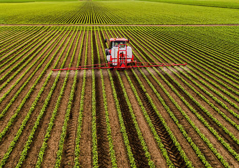 Pesticide spraying tractor on soybean field - NOF00568