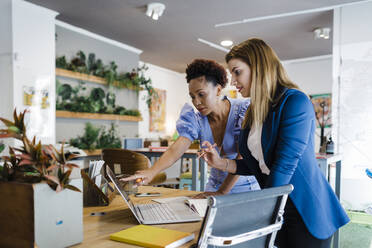 Geschäftsfrauen diskutieren über Laptop im Büro - DCRF01264