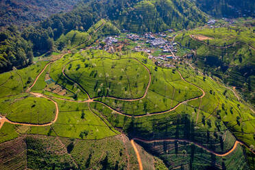 Luftaufnahme des Ella Tea Garden, Nuwara Eliya, Sri Lanka. - AAEF14669