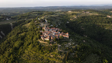 Luftaufnahme der Stadt Groznjan, Istrien, Kroatien. - AAEF14829