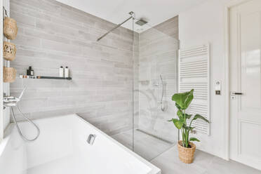 Potted plant placed near bathtub and glass shower cabin in sunlit modern bathroom at home - ADSF35561
