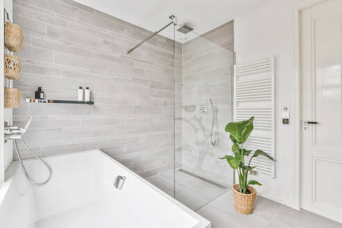 Topfpflanze in der Nähe der Badewanne und der Glasduschkabine in einem modernen, sonnendurchfluteten Badezimmer zu Hause - ADSF35561