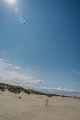 Boy flying kite at beach on sunny day - MFF09154