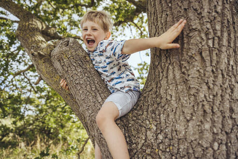 Glücklicher niedlicher Junge sitzt auf einem Baum - MFF09178