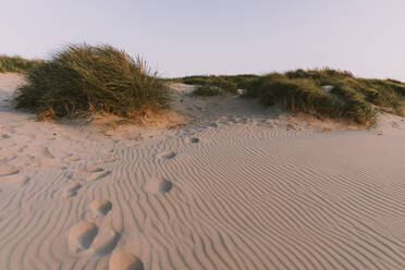 Fußabdrücke auf Sand am Strand - MFF09236