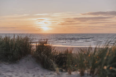 Schöner Sonnenuntergang über dem Meer vom Strand aus gesehen - MFF09240