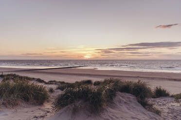 Pflanzen auf Sanddünen am Strand unter Himmel - MFF09241