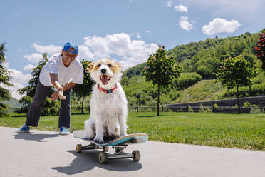 Dog skateboarding with man standing behind in park - OMIF00960