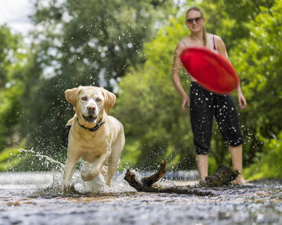 Junge Frau spielt mit Labrador Retriever am Ufer der Rems - STSF03271