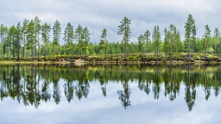 Schweden, Dalarna, Bäume spiegeln sich auf der Oberfläche eines klaren Sees - STSF03275