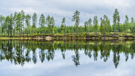 Sweden, Dalarna, Trees reflecting on surface of clear lake - STSF03275