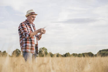 Senior farm worker examining wheat crop standing in farm - UUF26686