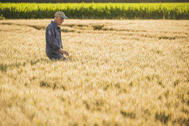Farmer wearing cap walking in wheat field - UUF26716