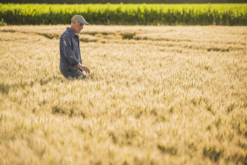 Landwirt mit Mütze in einem Weizenfeld - UUF26716