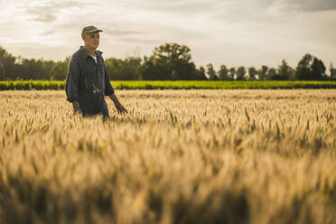 Senior farmer walking in wheat farm - UUF26717