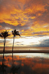 Palmen vor roten Wolken spiegeln sich in einem Infinity-Pool bei Sonnenuntergang über einem Strand in Flic en Flac, Mauritius, Indischer Ozean, Afrika - RHPLF22091