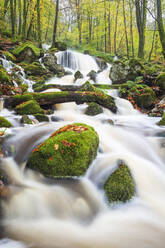 Wasserfall im Herbstwald am Loch Ken, Galloway Forest Park, Dumfries und Galloway, Schottland, Vereinigtes Königreich, Europa - RHPLF22099