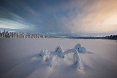 Dramatischer Nachthimmel über dem schneebedeckten Wald und den gefrorenen Bäumen, Iso Syote, Lappland, Finnland, Europa - RHPLF22168