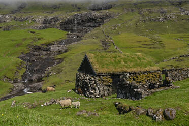 Building with turf roof, Saksun, Streymoy Island, Faroe Islands, Denmark, Europe - RHPLF22206