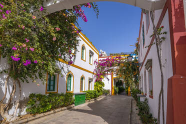 Blick auf bunte Gebäude und Blumen in der Altstadt, Puerto de Mogan, Gran Canaria, Kanarische Inseln, Spanien, Atlantik, Europa - RHPLF22215