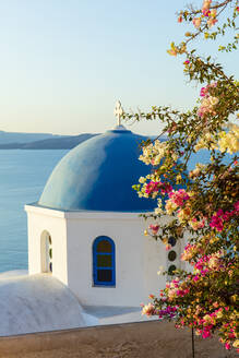 Blaue Kuppel weißes Gebäude mit bunten Blumen im Vordergrund, Oia, Santorini, Kykladen, griechische Inseln, Griechenland, Europa - RHPLF22243