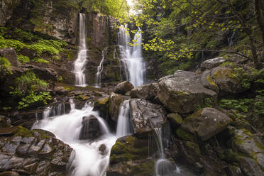 Dardagna-Wasserfälle im Wald, fließend zwischen Felsen, Emilia Romagna, Italien, Europa - RHPLF22252