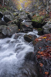 Langzeitbelichtung eines Wasserfalls, der zwischen Felsen in einem Wald im Herbst fließt, Emilia Romagna, Italien, Europa - RHPLF22253