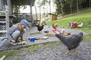 Mädchen arbeitet mit Holz zwischen Hühnern - FOLF11504