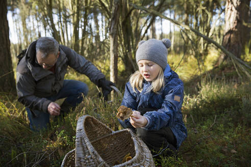 Father and daughter gathering mushrooms in forest - FOLF11542